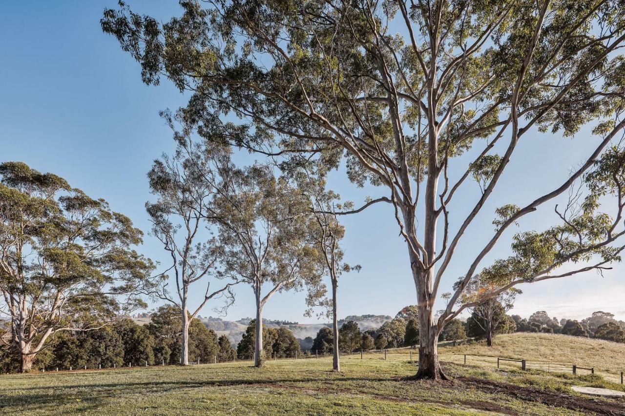 99 Acres Bangalow Retreat Екстериор снимка